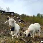 By The Fjord Øksendalsøra