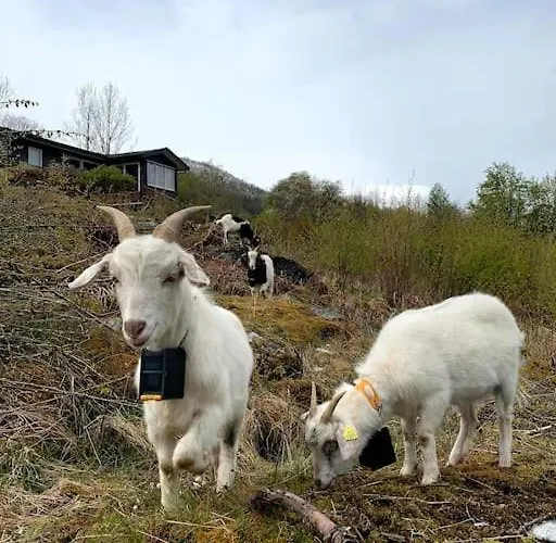 By The Fjord Oksendalsora