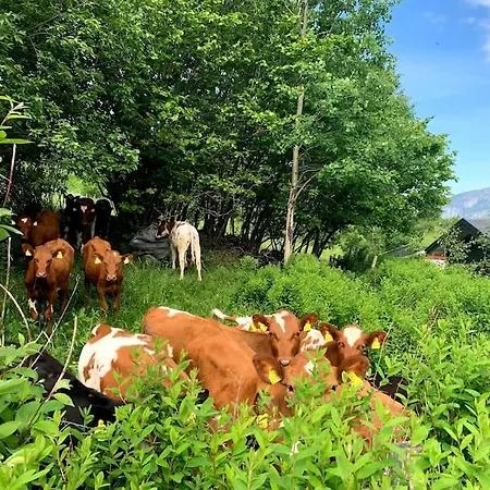 By The Fjord * Oksendalsora