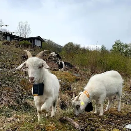 By The Fjord Oksendalsora