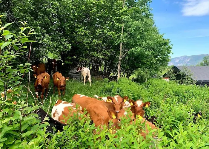 By The Fjord * Oksendalsora